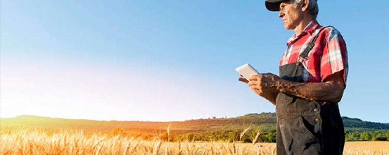 O futuro da alimentação