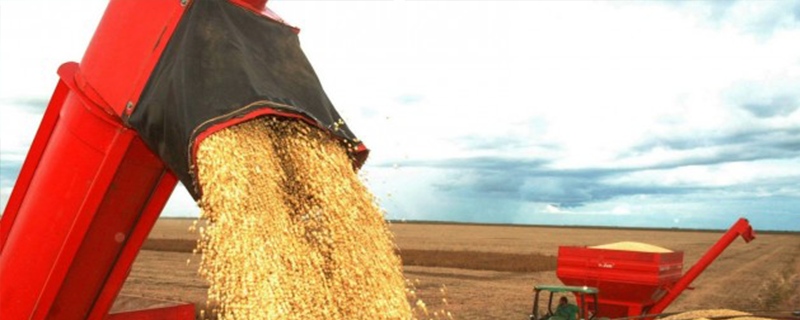 Produção de Rondônia deve chegar a 1,6 milhão de toneladas de grãos