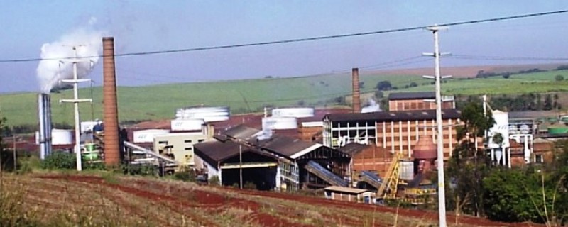 Grupo São Martinho estuda ampliar produção de açúcar na Usina Santa Cruz
