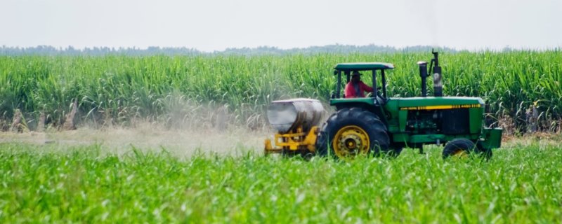 Exportações do agronegócio crescem 3% em agosto