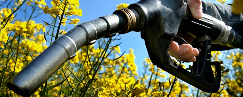 Brasil é o segundo maior produtor e consumidor de biodiesel do mundo