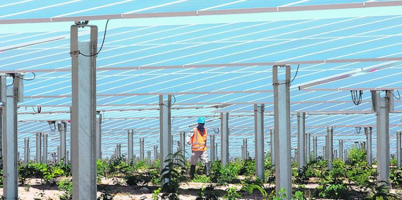 Inclusão de projetos fotovoltaicos em leilão A-6 deverá reduzir preço médio