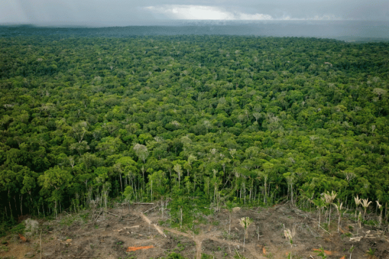 Empresas pedem flexibilização da posição do Brasil na Cop25