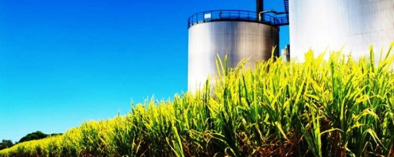 Ciclo de baixa do setor sucroenergético está ficando para trás, avalia Biosev